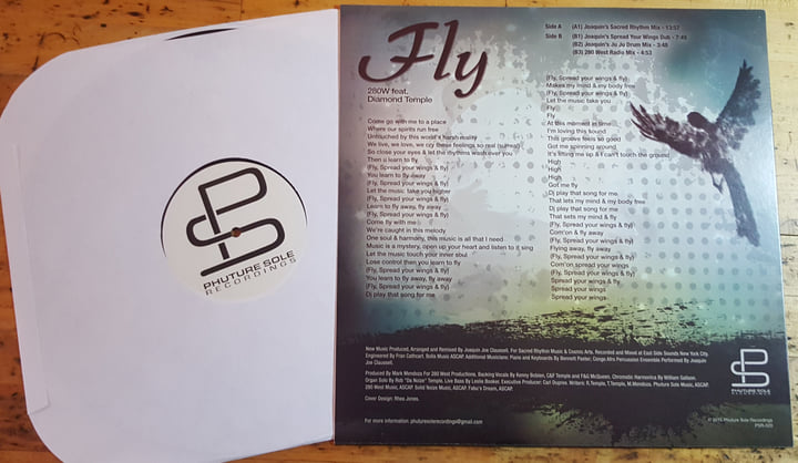FLY - 280W Feat.Diamond Temple - 12