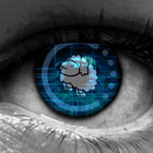 neophoys thumbnail