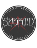Sybrid image