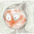 Steve Walker thumbnail