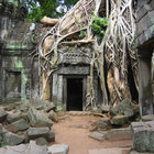 B3Nz thumbnail