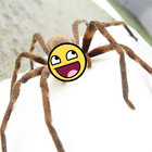Cassandra T. thumbnail
