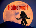 Hälberwolf image