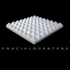 Crucial Quarters thumbnail