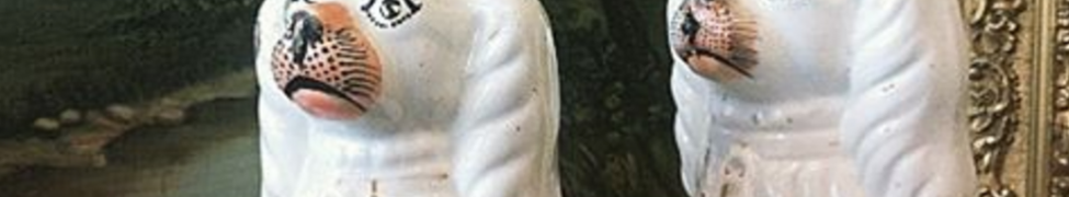 Pollens — Photo