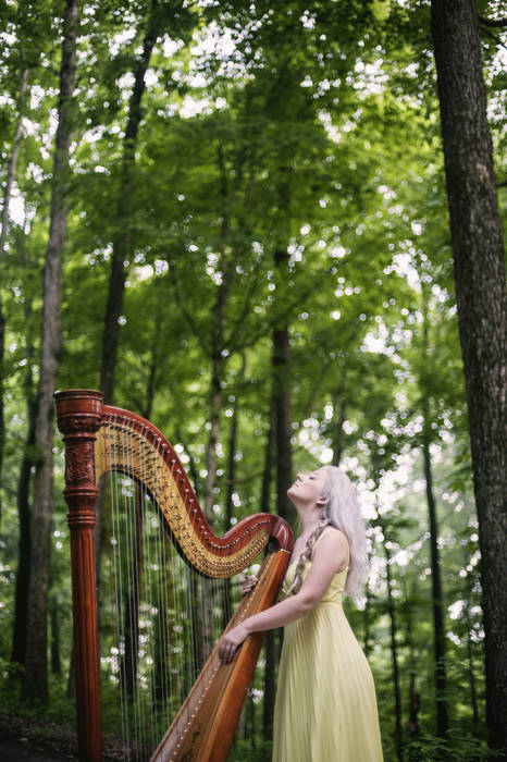 Harp timbre deals
