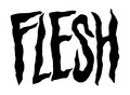 Flesh Records image