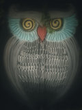 Owlbites image