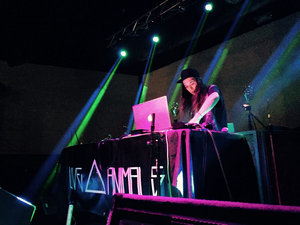 Live Animals — Photo