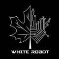 White Robot image