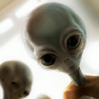 Scott McRobot thumbnail