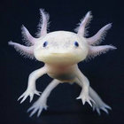 Walking Fish thumbnail