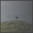 uxuka thumbnail