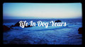 Life In Dog Years image