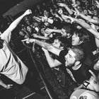 Kyle Thompson thumbnail