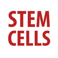 Stem Cells image