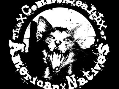 Circle Cat Logo main photo