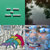 Daniel Szell thumbnail