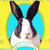 Sean Bunny thumbnail