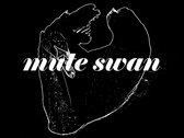 ❤︎ Mute Swan photo 