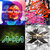 Chris Vreeland thumbnail
