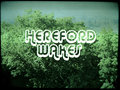 Hereford Wakes image