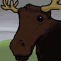 Moose image