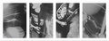 Corporeal photo