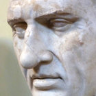 Tom White thumbnail