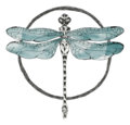 Dragonfly Collector image