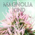 Magnolia Kind image