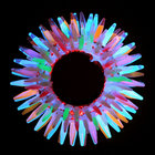 Plexigo (Hekwapi Records) thumbnail