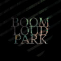 Boom Loud Park image