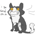 Rae Bowker(they/them) thumbnail