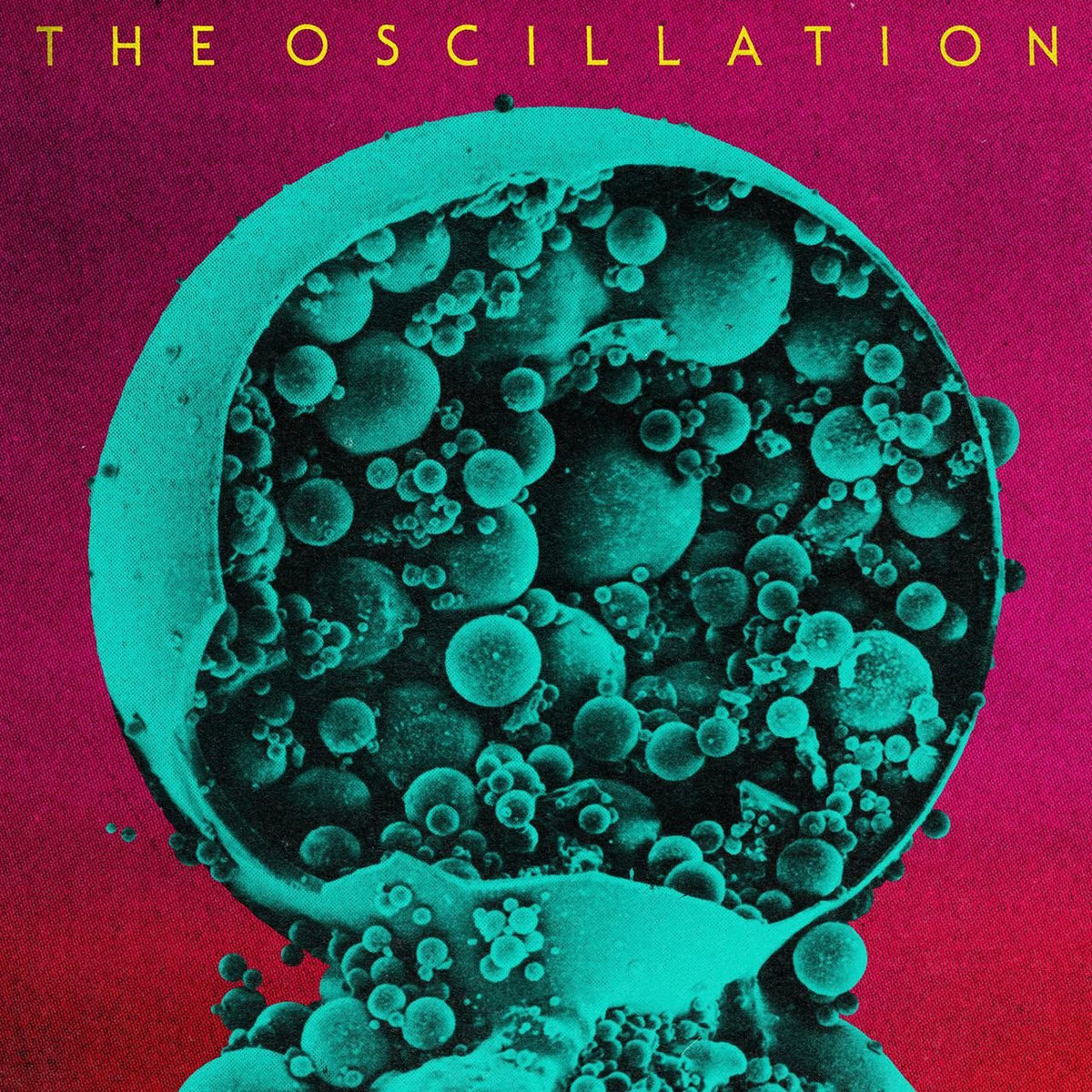 Out Of Phase The Oscillation