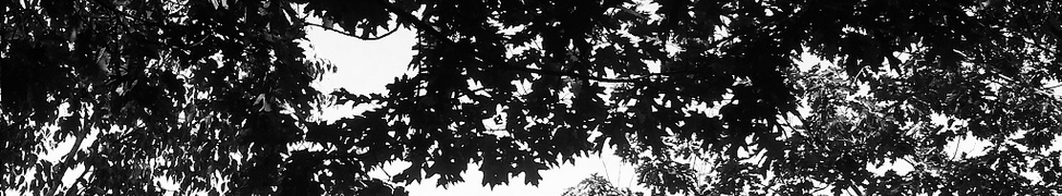 Frontside — Photo