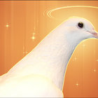 Vicki S. thumbnail
