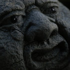 Bill Nienaber thumbnail