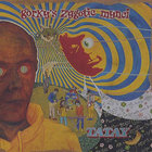 希少 SAFE TRAVEL ROCK STEADY phil pratt LP The Rare Side of Rock Steady: Safe Travel With Phil Pratt