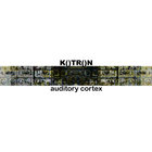 K()TR()N thumbnail