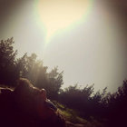 Darmock thumbnail