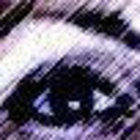 Shirley thumbnail