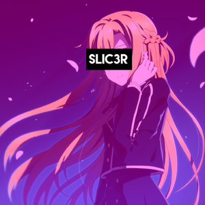 SLIC3R