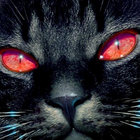 Catanist thumbnail