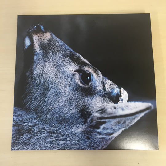 the book about my idle plot on a vague anxiety | toe