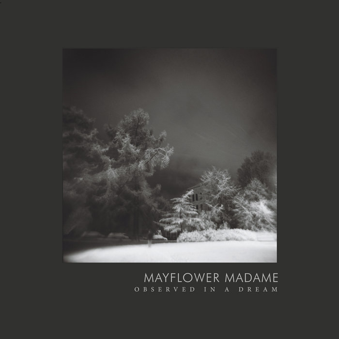 Observed in a Dream – Limited edition 12" Vinyl 180 gram