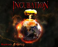 Incubation image
