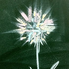Reedle thumbnail