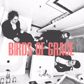Birds of Grace image