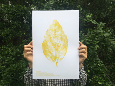 "In the Yellow Leaf" Release Poster - Local Pickup at Lagniappe Records main photo